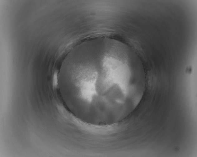 X0000113070042200909110950