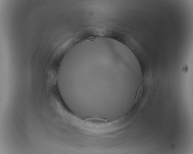 X0000113070043200909110950