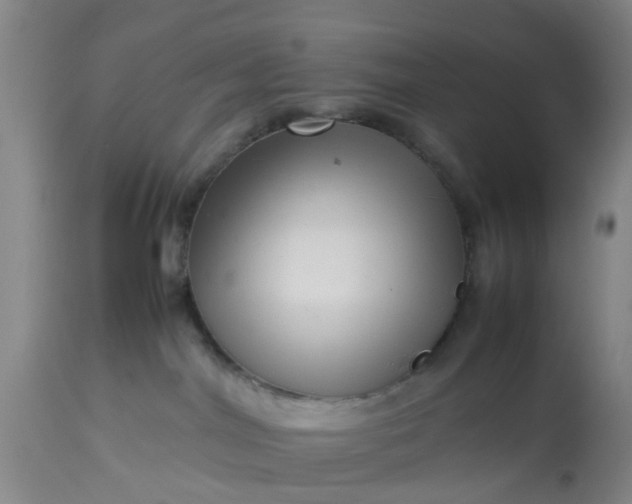 X0000113070044200909110950