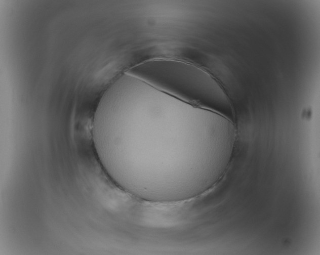 X0000113070045200909110950