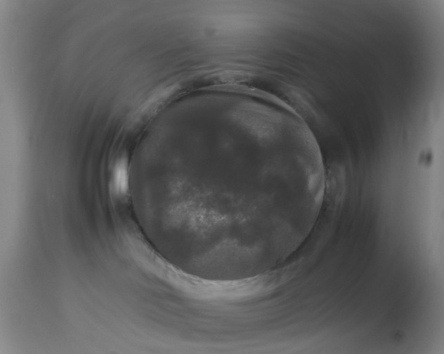 X0000113070046200909110950