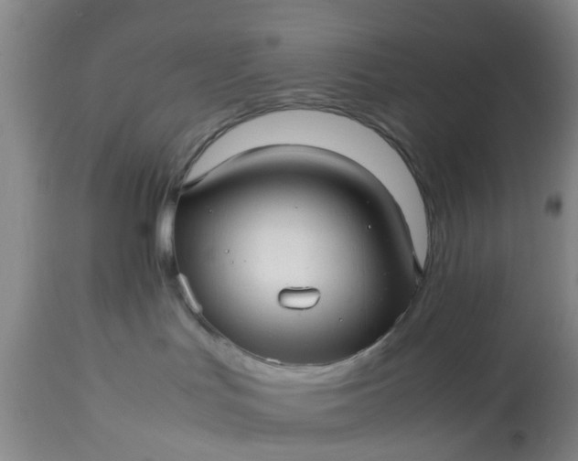 X0000113070047200909110950