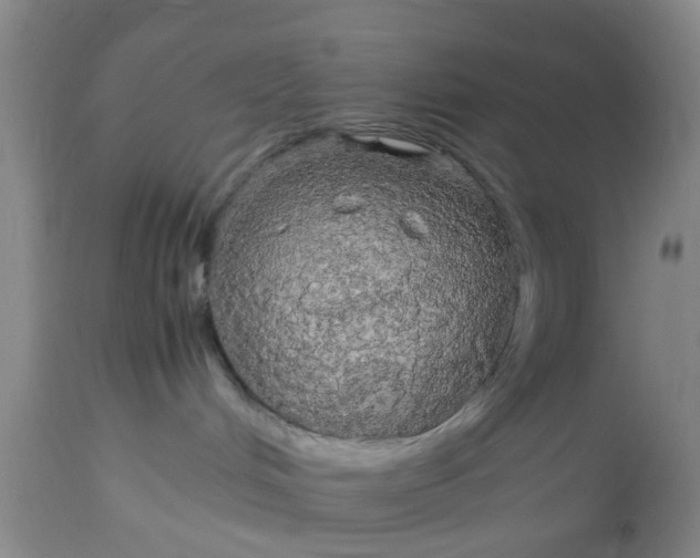 X0000113070048200909110950