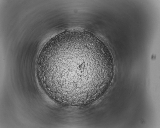 X0000113070049200909110950