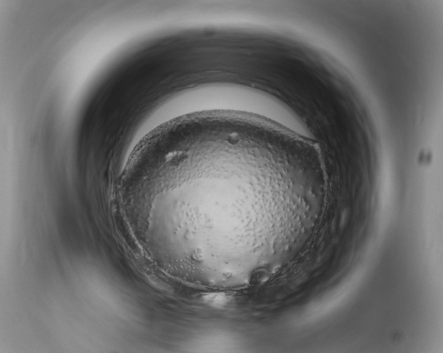 X0000113070050200909110950