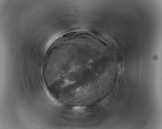 X0000113070051200909110950