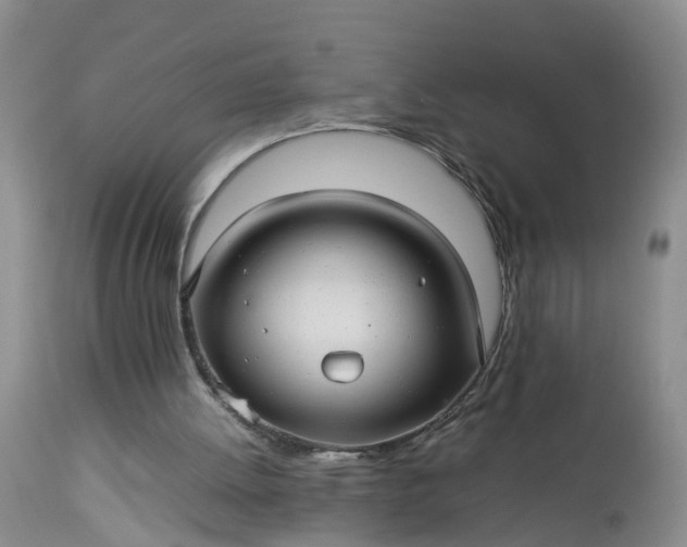 X0000113070052200909110950