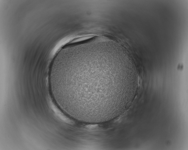 X0000113070054200909110950