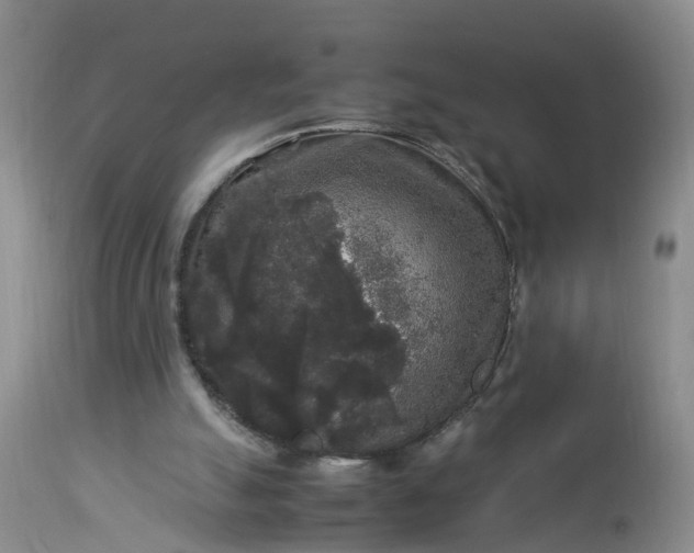 X0000113070055200909110950