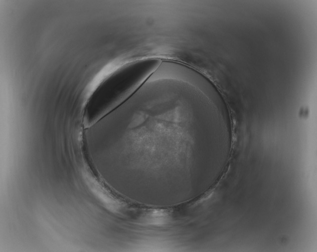 X0000113070056200909110950