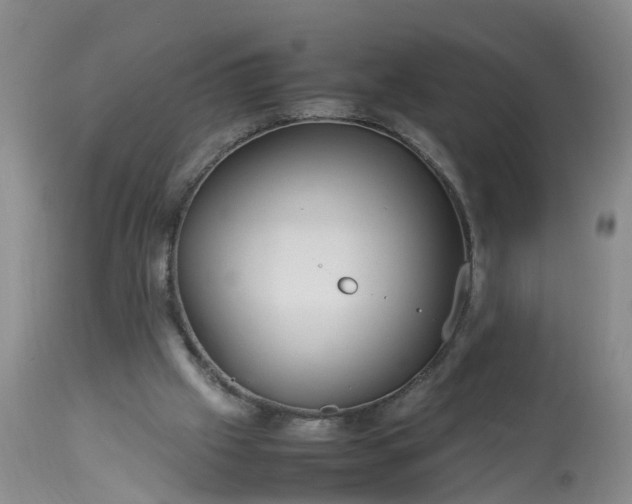 X0000113070057200909110950