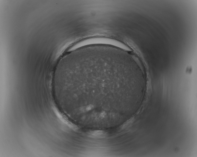 X0000113070058200909110950