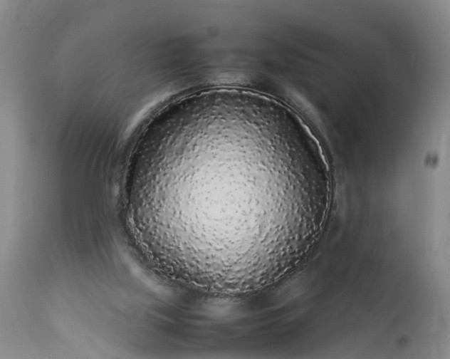 X0000113070059200909110950