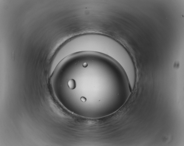 X0000113070060200909110950