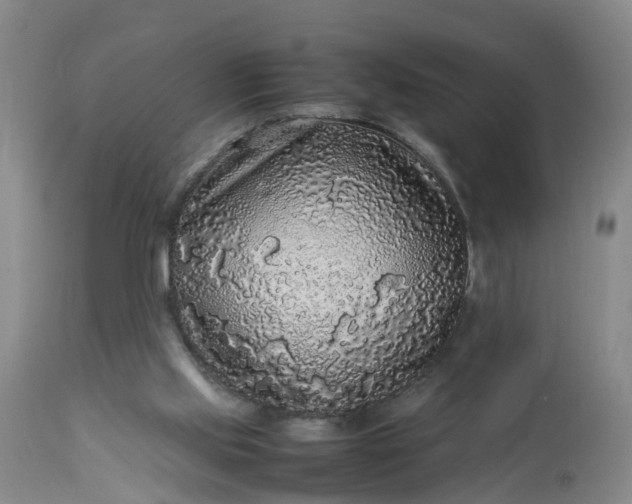 X0000113070061200909110950