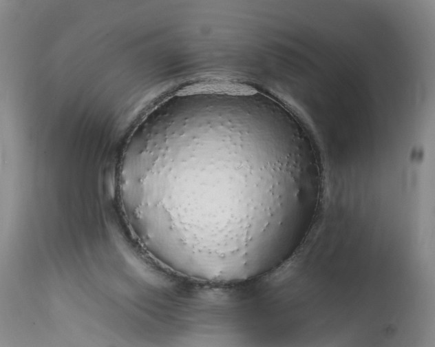 X0000113070062200909110950