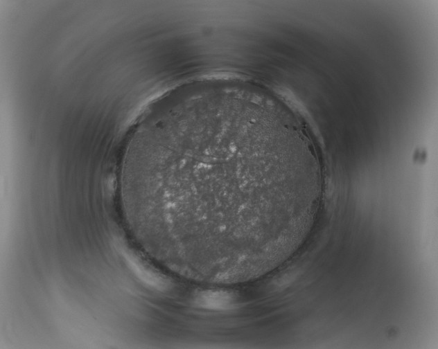 X0000113070063200909110950