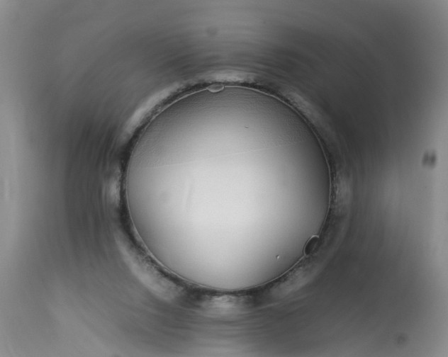 X0000113070064200909110950