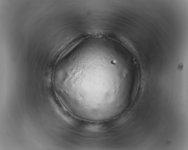 X0000113070065200909110950