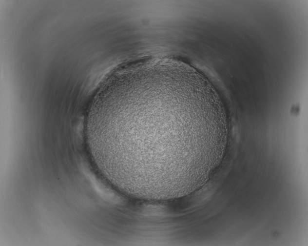 X0000113070066200909110950