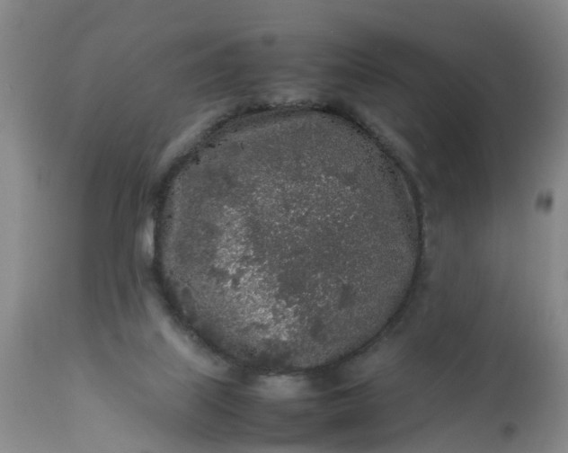 X0000113070067200909110950