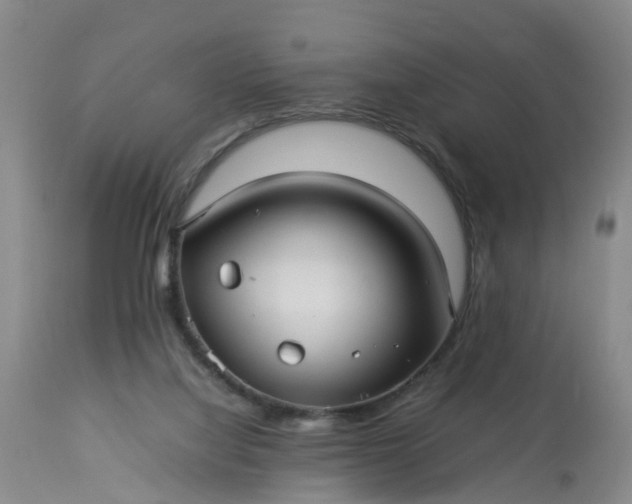 X0000113070068200909110950