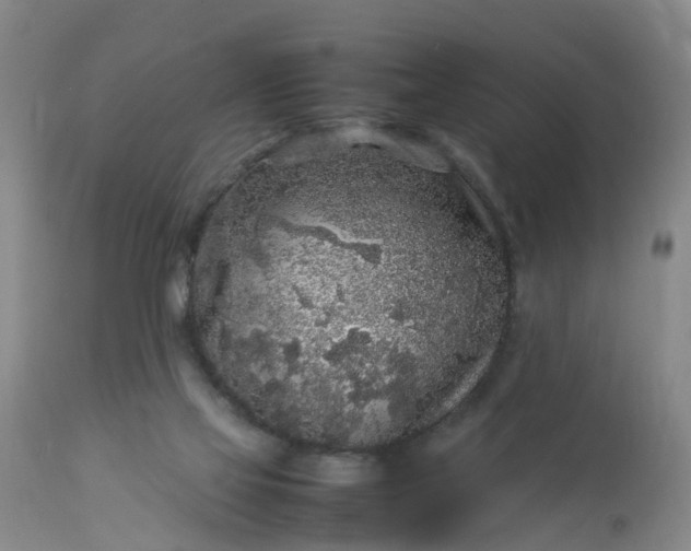 X0000113070069200909110950