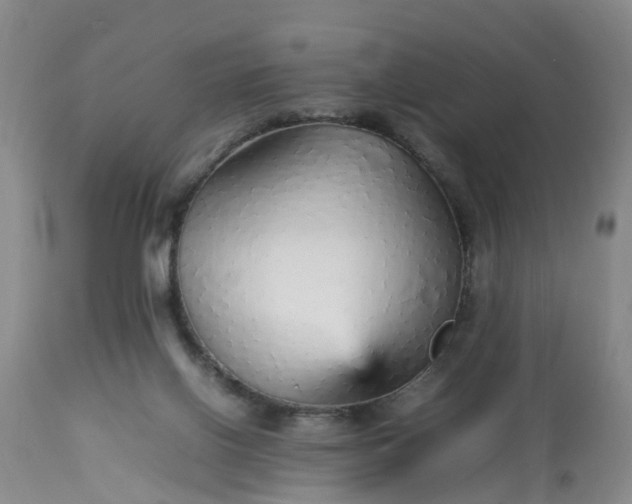 X0000113070070200909110950