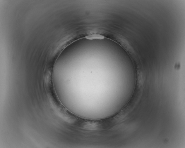 X0000113070071200909110950