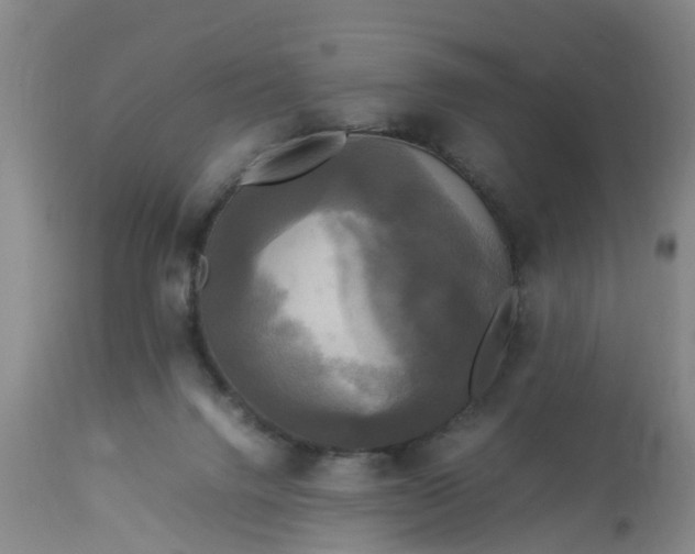 X0000113070072200909110950