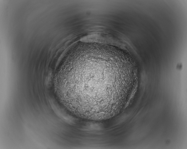 X0000113070073200909110950