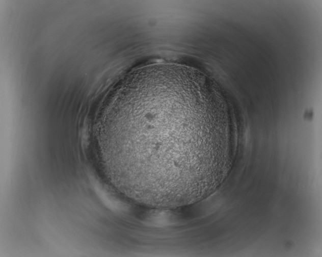 X0000113070074200909110950