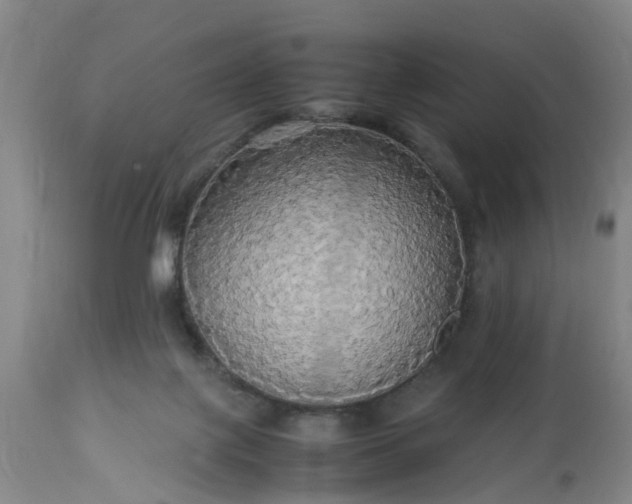 X0000113070075200909110950