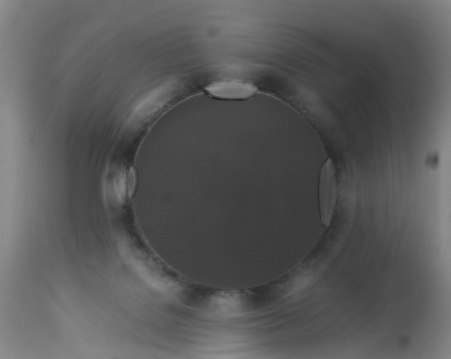 X0000113070076200909110950