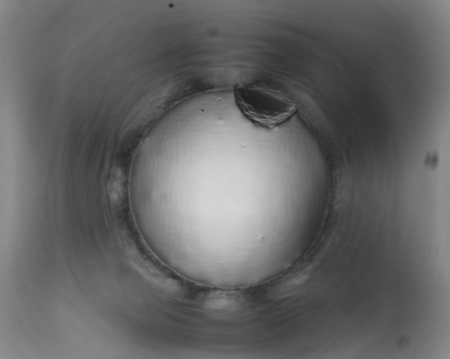 X0000113070077200909110950