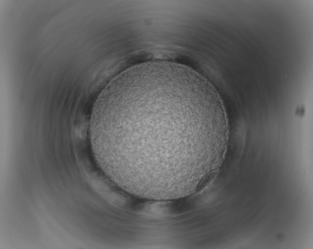 X0000113070078200909110950