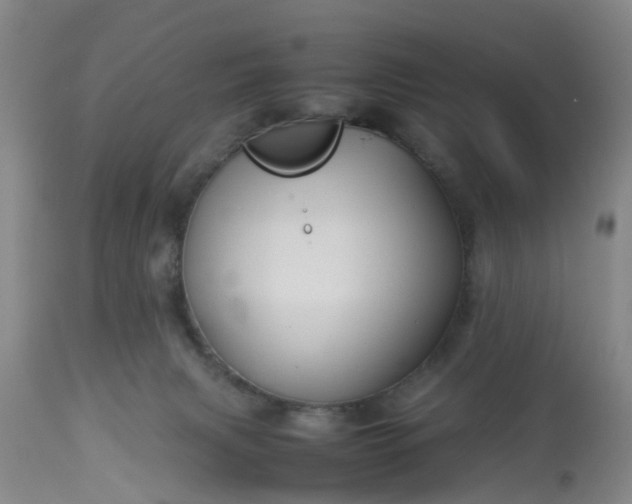 X0000113070079200909110950