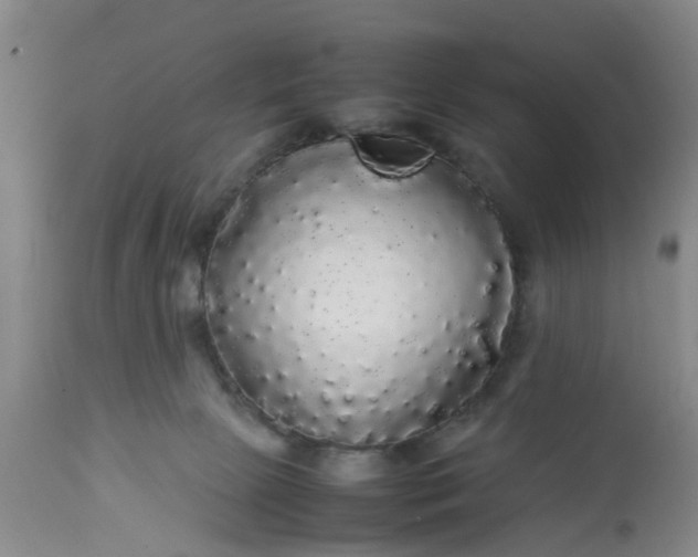 X0000113070081200909110950