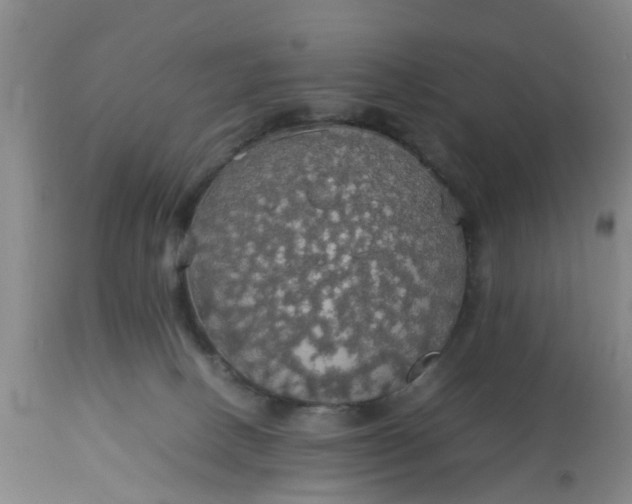 X0000113070082200909110950