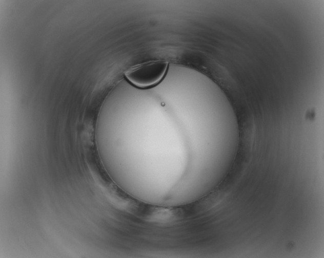 X0000113070083200909110950