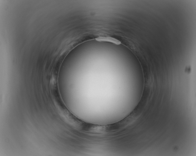 X0000113070084200909110950