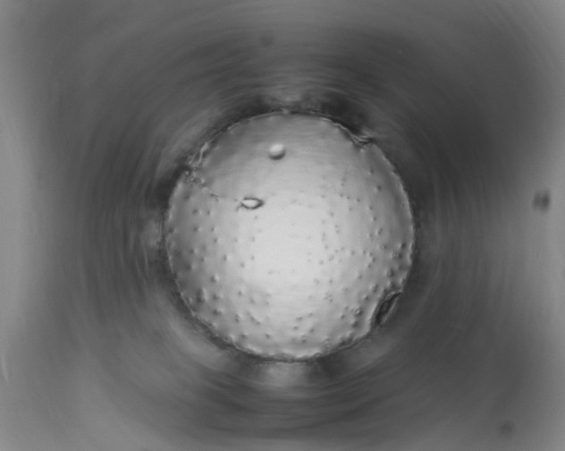 X0000113070085200909110950