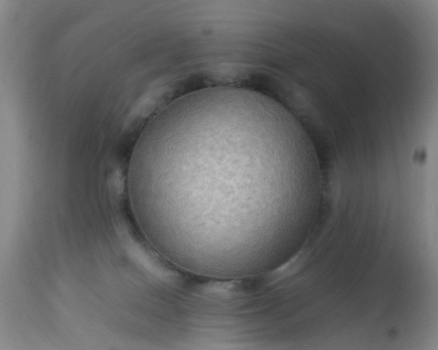 X0000113070086200909110950