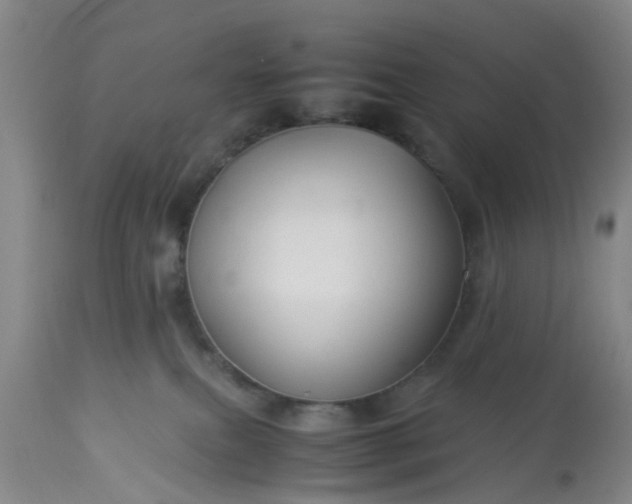 X0000113070087200909110950