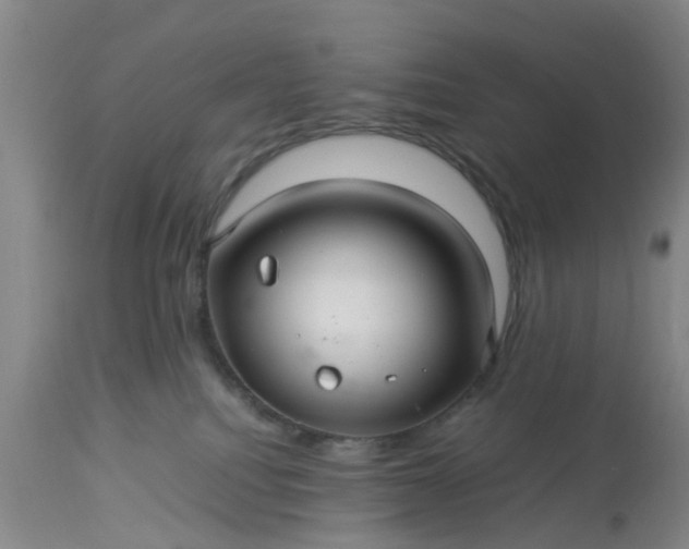 X0000113070088200909110950