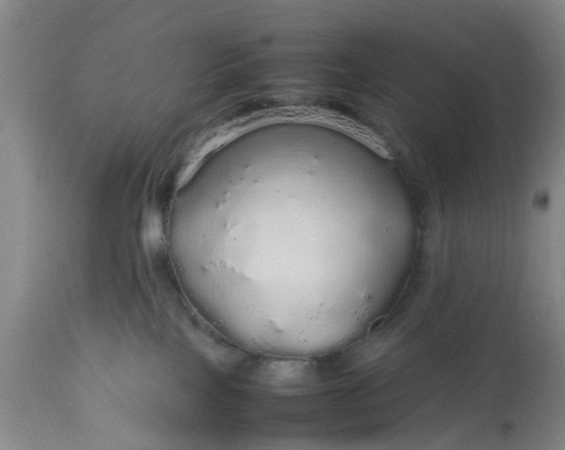 X0000113070089200909110950