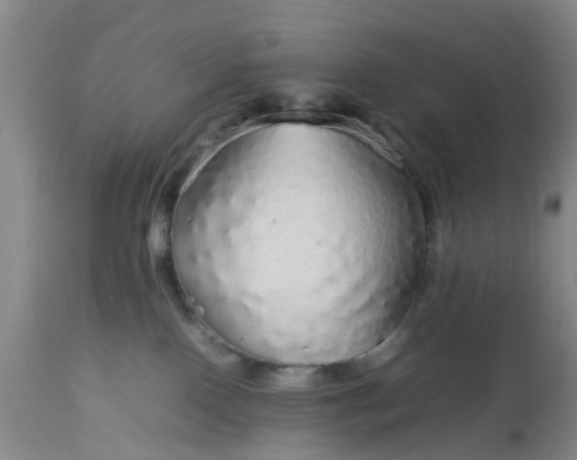 X0000113070090200909110950