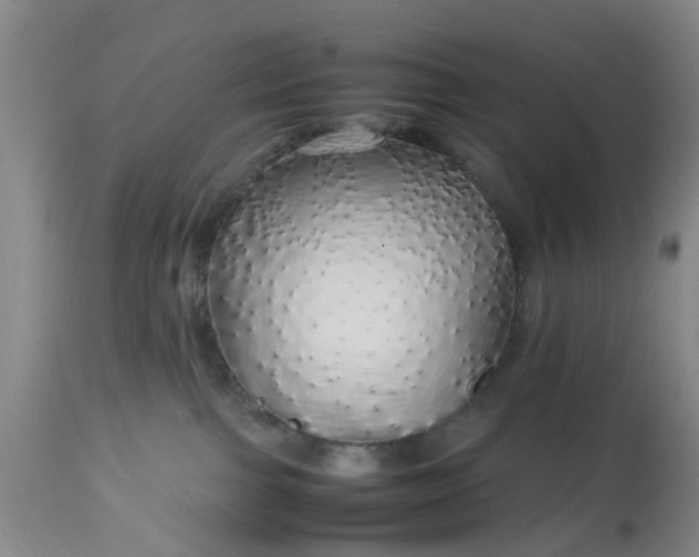 X0000113070091200909110950