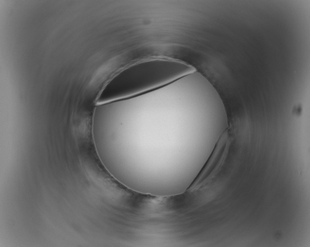 X0000113070092200909110950