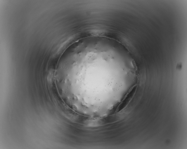 X0000113070093200909110950